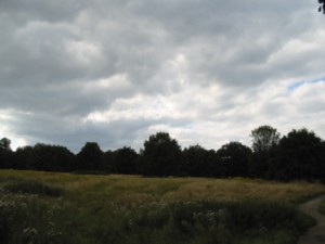 heath1